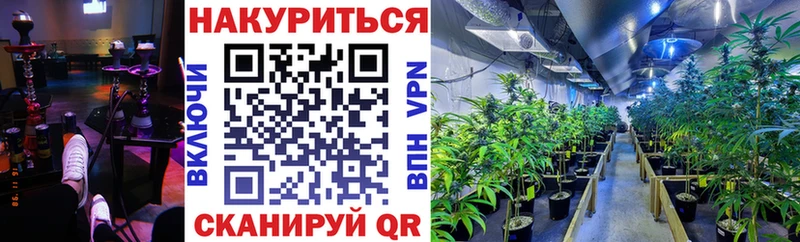 Каннабис конопля  Чишмы 